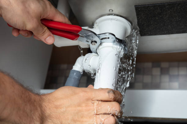 Best Mold removal after water damage  in Glennville, GA