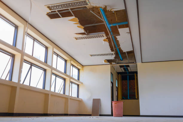 Best Flood damage cleanup  in Glennville, GA