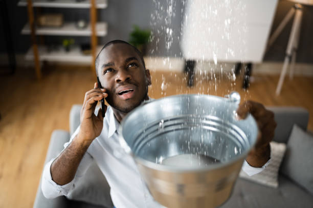 Best Flood damage cleanup  in Glennville, GA