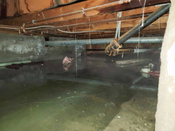 Best Water damage repair service  in Glennville, GA