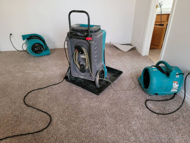  Glennville, GA Water damage restoration Pros