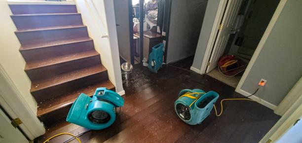 Best Water damage cleanup near me  in Glennville, GA