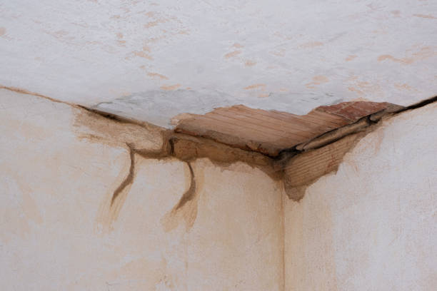 Best Water damage restoration near me  in Glennville, GA