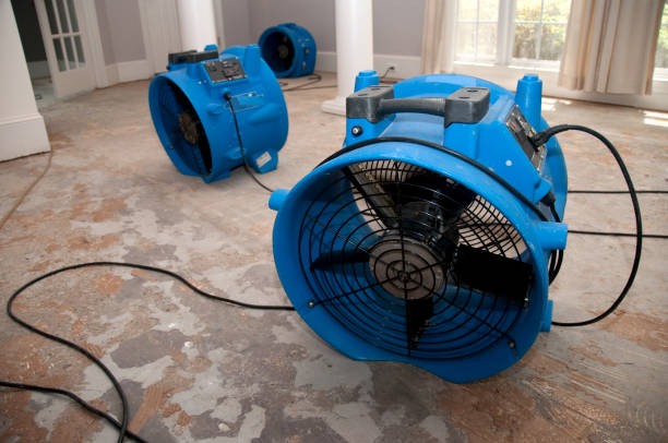 Glennville, GA Water damage restoration Company