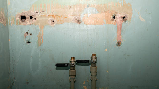 Best Local water damage restoration  in Glennville, GA