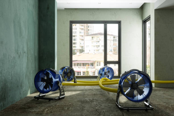 Best Basement water damage restoration  in Glennville, GA